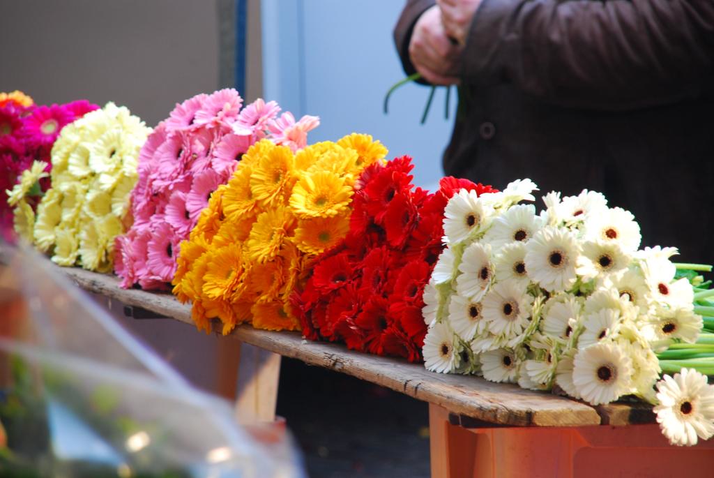 Utrecht Flower Market Just back from ce;ebratin New Year i… Flickr