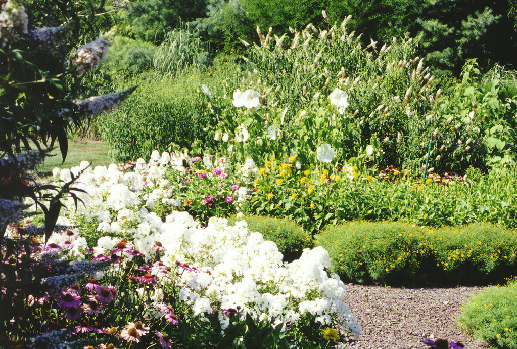 Perennial Garden, Landscaping and Garden Design in Wesley Hills