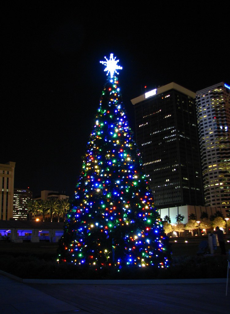 City of Tampa Christmas Tree The official City of Tampa Ch… Flickr