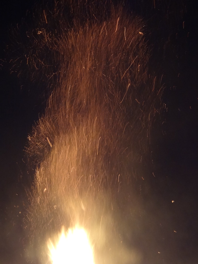 DSC06244 Bartow Fl Annual New Years Eve Christmas Tree Bur… Flickr