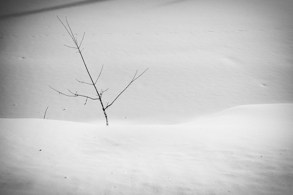 Sturgeon River Valley 01 On the banks of the frozen Sturge… Flickr