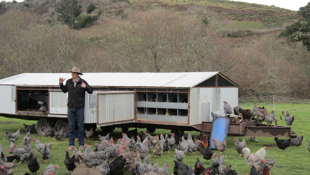 Left Coast Grassfed/Tom Kat Ranch Flickr