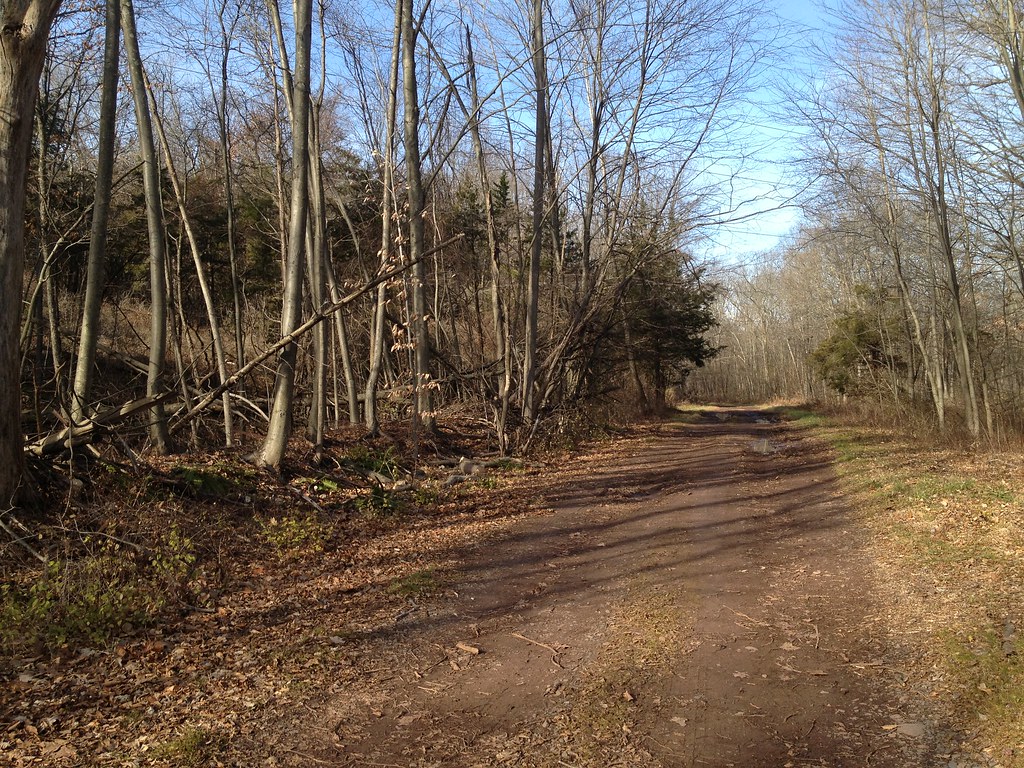 Beckley Quarry Path to Beckley Quarry, Berlin, Connecticut… Rowan Jacobs Flickr