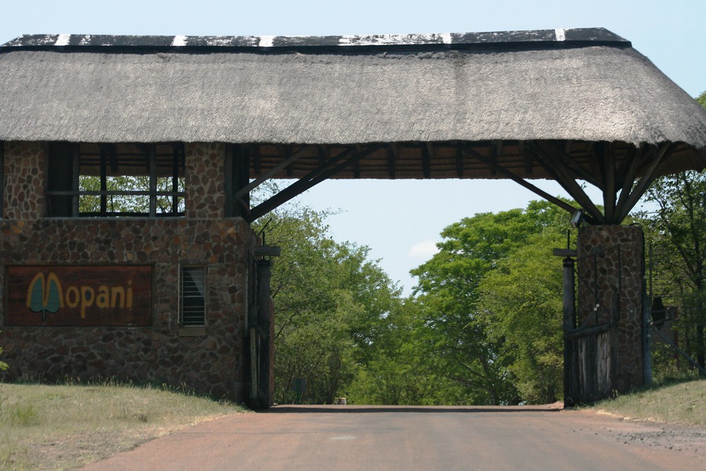 Kruger National Park, South Africa Kruger National Park, S… Flickr