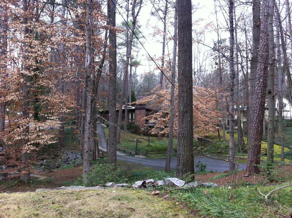 Pine Hills Atlanta vizual2 Flickr