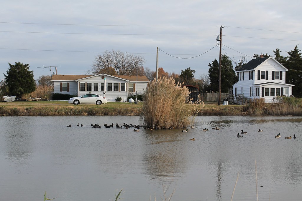 Smyrna Smyrna, Delaware Patrick Nouhailler Flickr