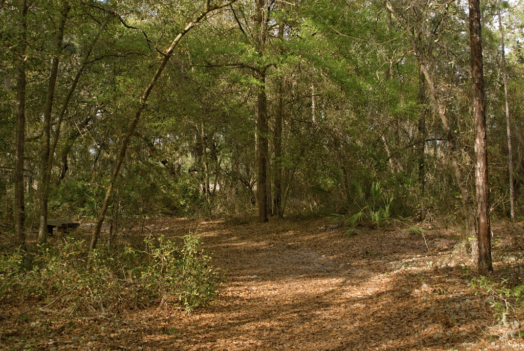 Horseshoe Lake Park Florida Hikes Flickr