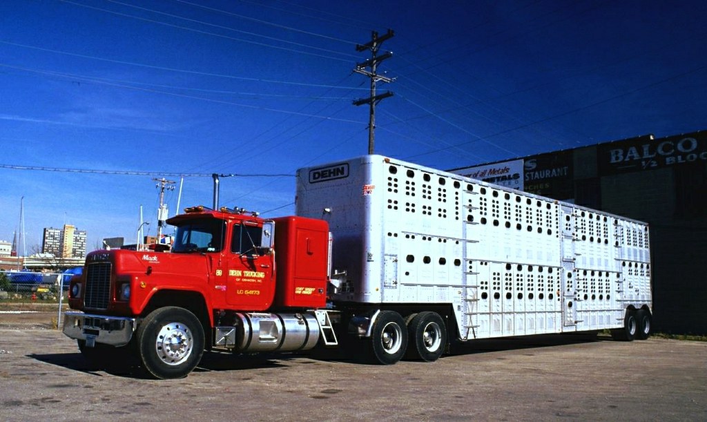 Dandy Dehn Mack After unloading at the Milwaukee stockyard… Flickr
