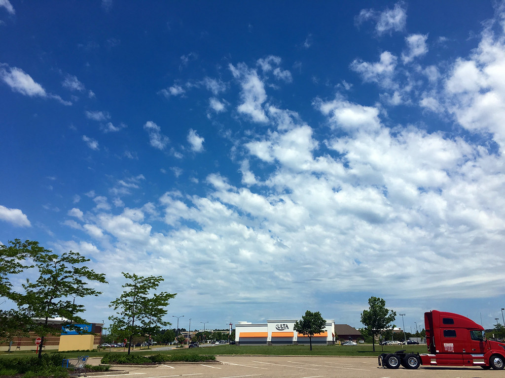 Rest and walk break at Walmart, Plover, Wisconsin, June 4,… Flickr