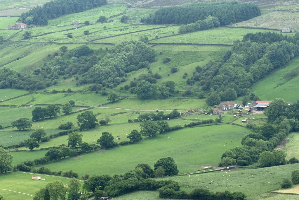 Rosedale stephengg Flickr