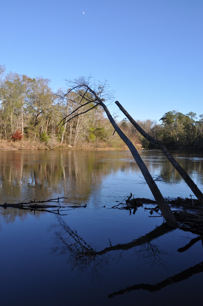 Yellow River, Florida A view of the Yellow River from the … Flickr