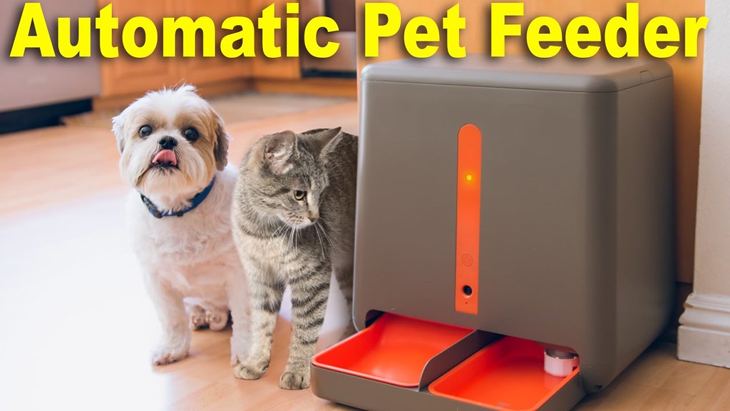 Automatic pet feeder With timer and webcam Automatic pet… Flickr