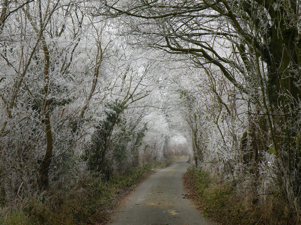frosty lane rospix Flickr