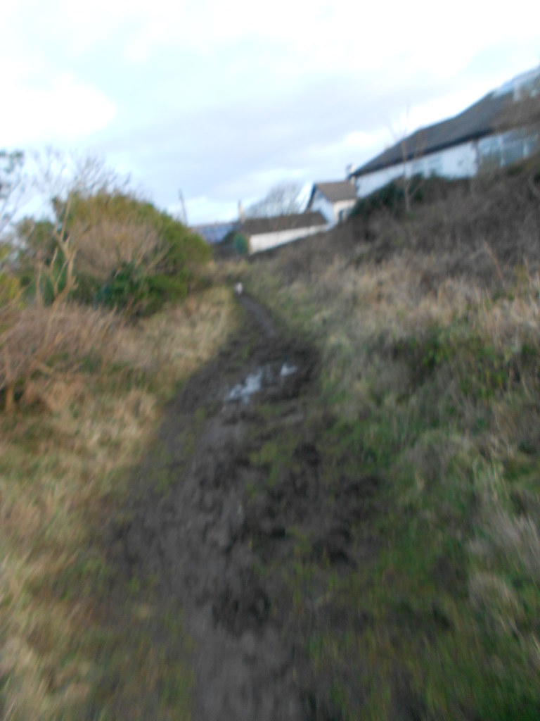 10 mile run Whiteleas Cleadon Marsden Whitburn 018 Flickr