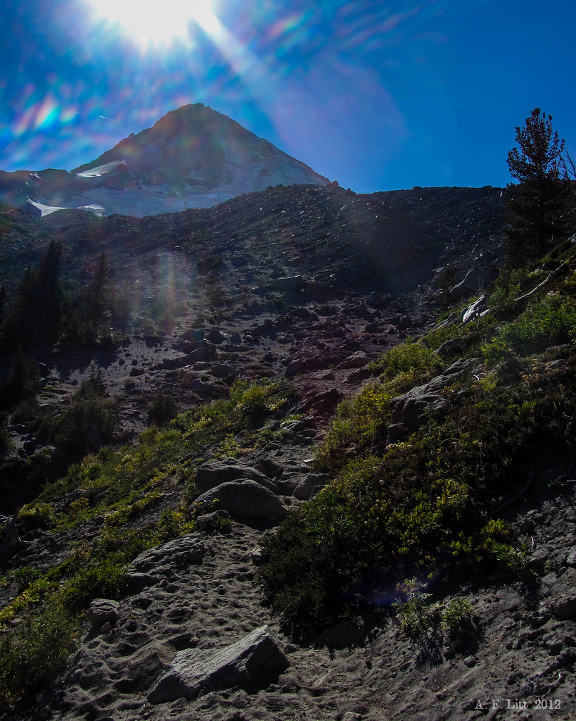 Early Autumn Sun. Timberline Trail. Mt. Hood National Fore… Flickr