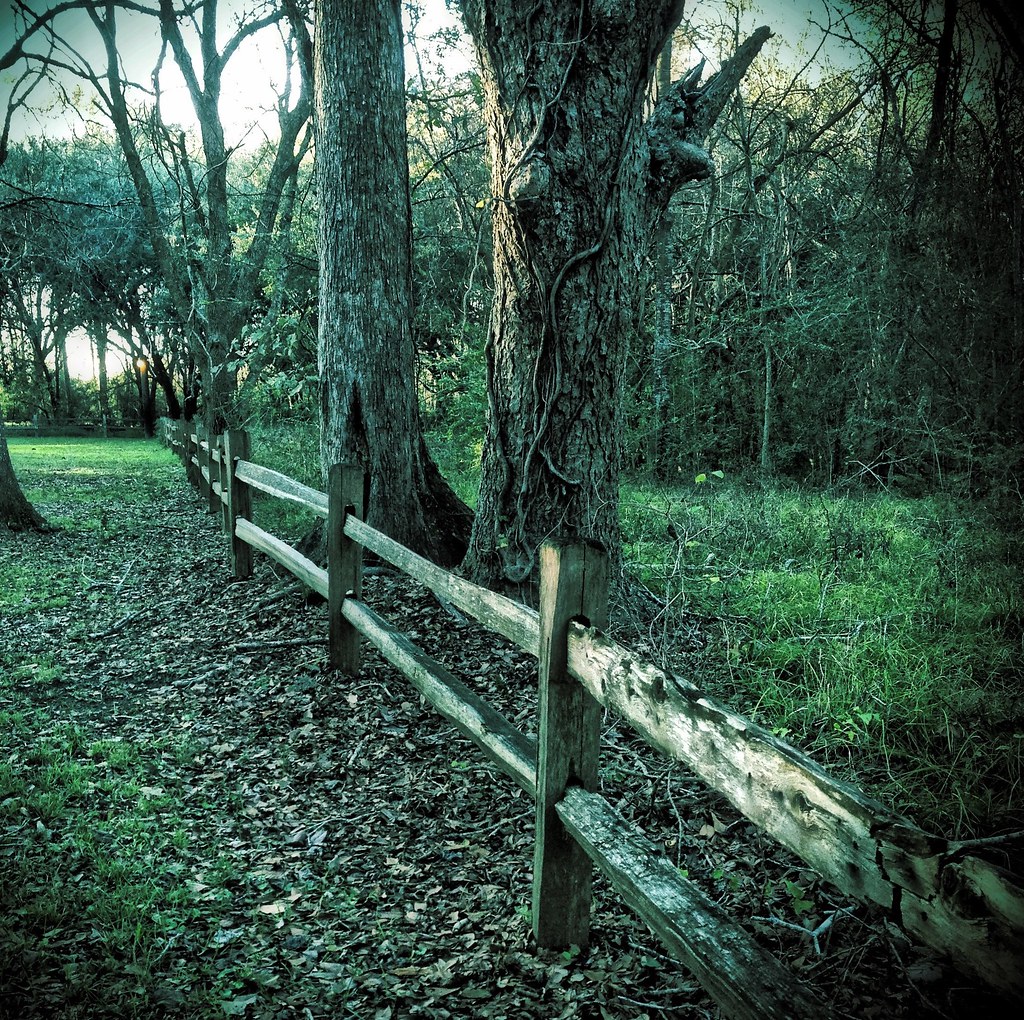 Elevation of Bar X Ranch, Bar X Trail, Angleton, TX, USA Topographic