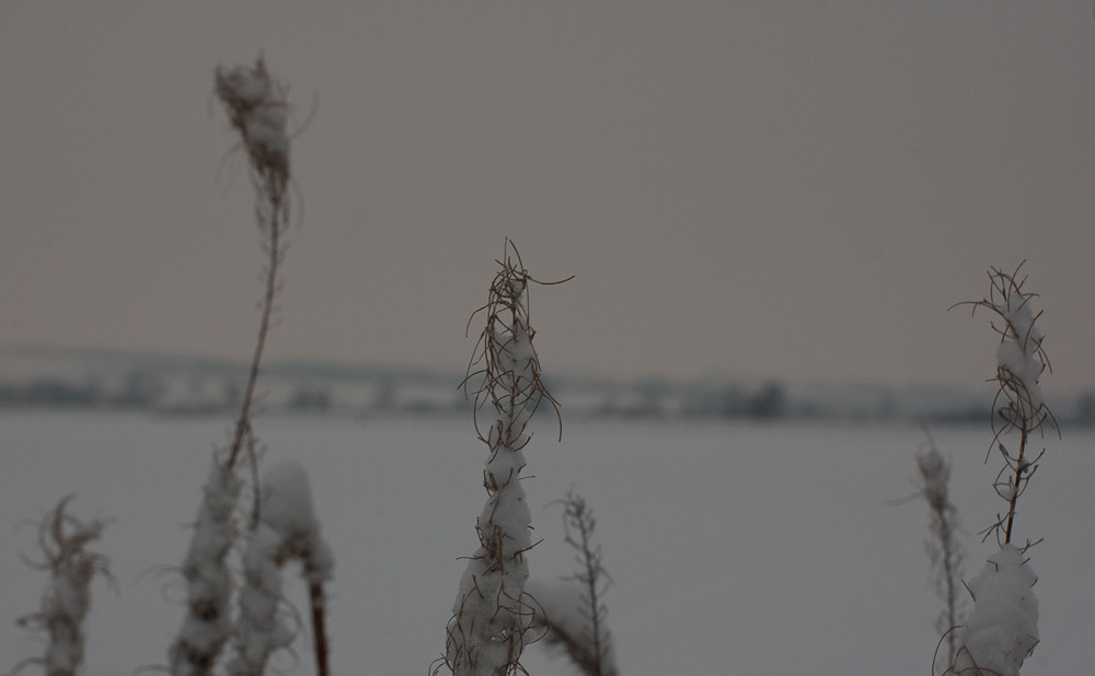 Didcot snow4 Michelle Dickinson Flickr