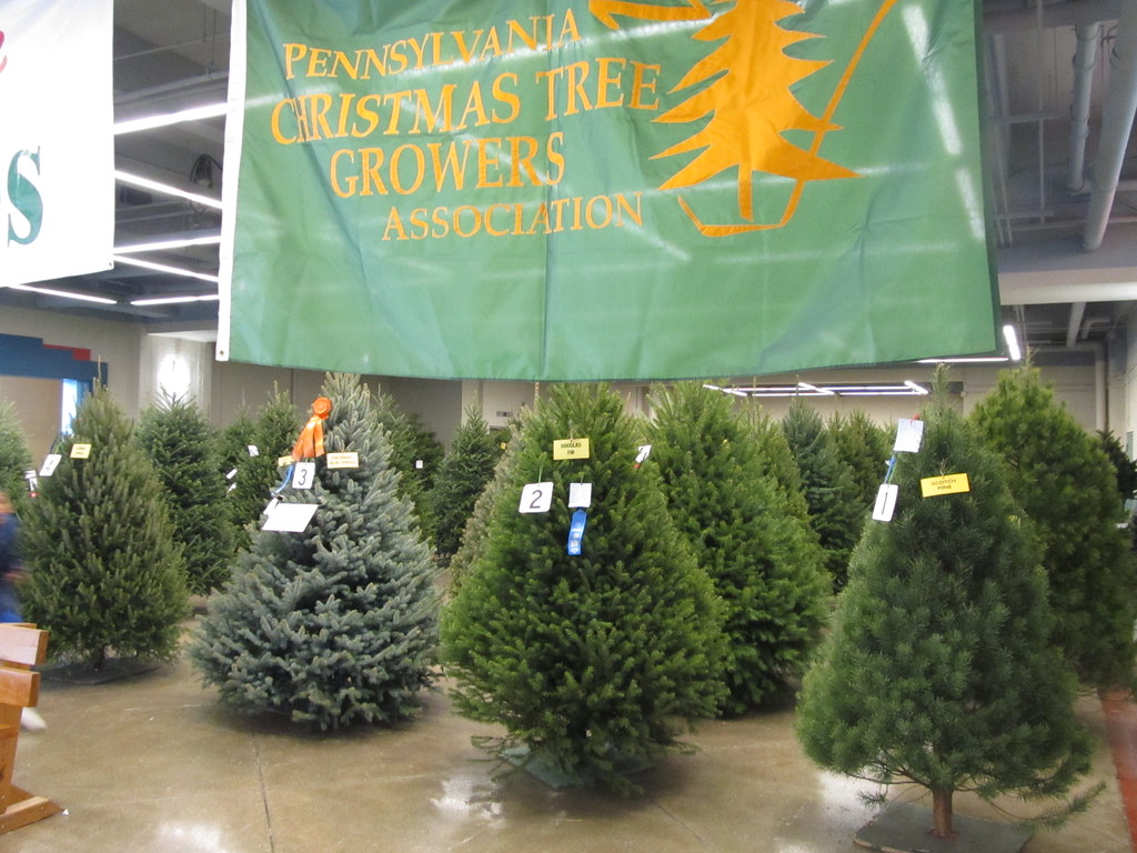 Christmas Tree competition PA Farm Show (2013). Harrisburg… Flickr