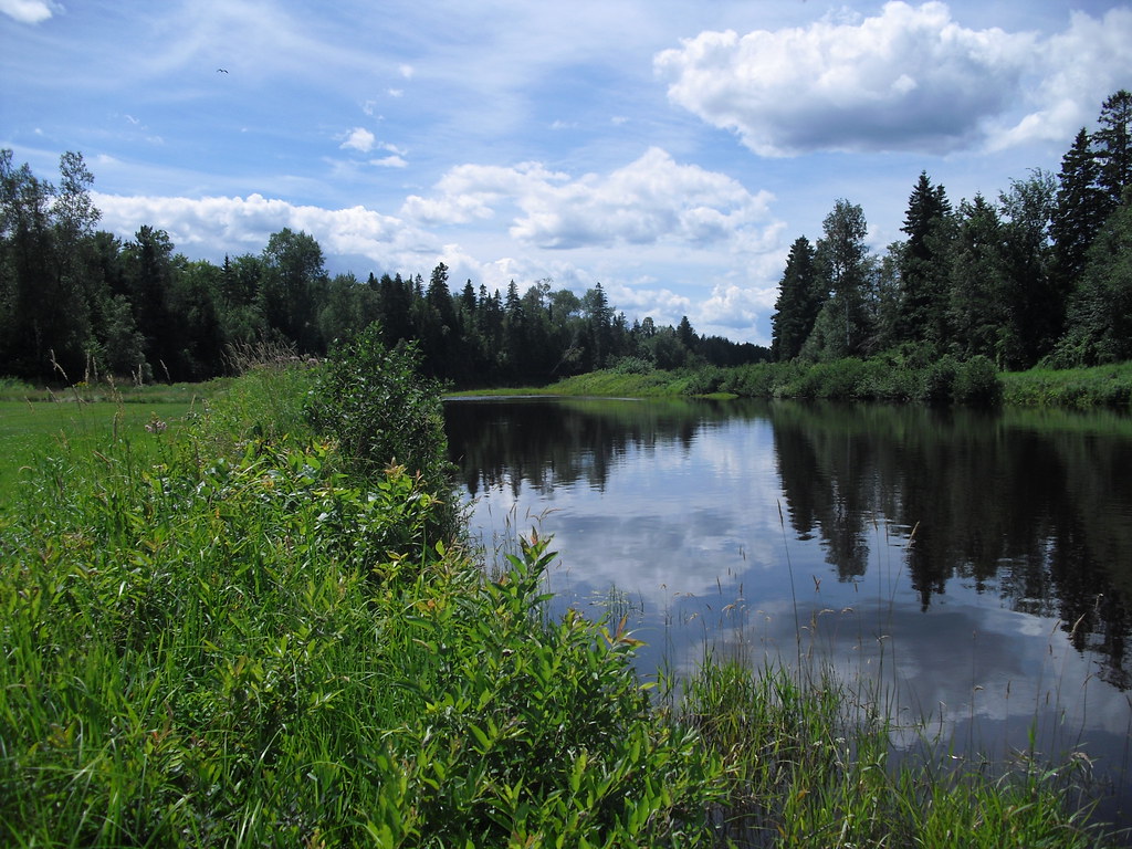 Canaan River Smallmouth Fishing Canaan river late June 201… Flickr