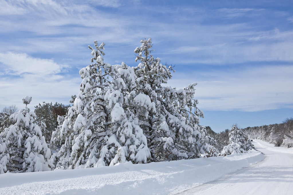 Woodside Ave in Holtsville New York after Blizzard 2013 Flickr