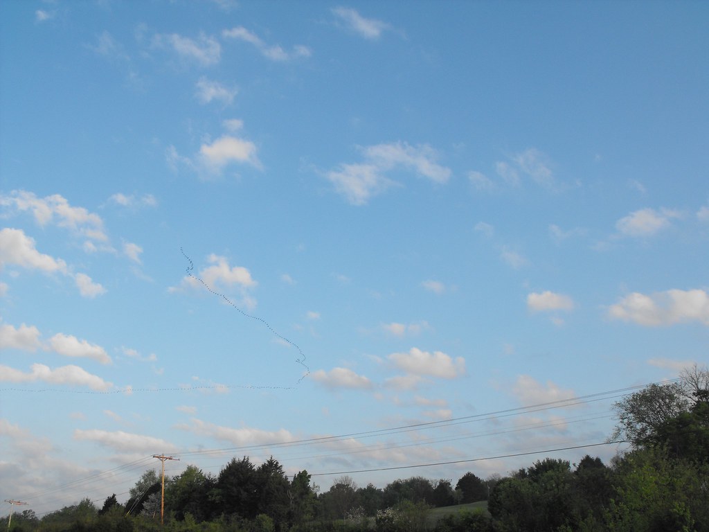 2012_04210123 Dairy_Air Flickr