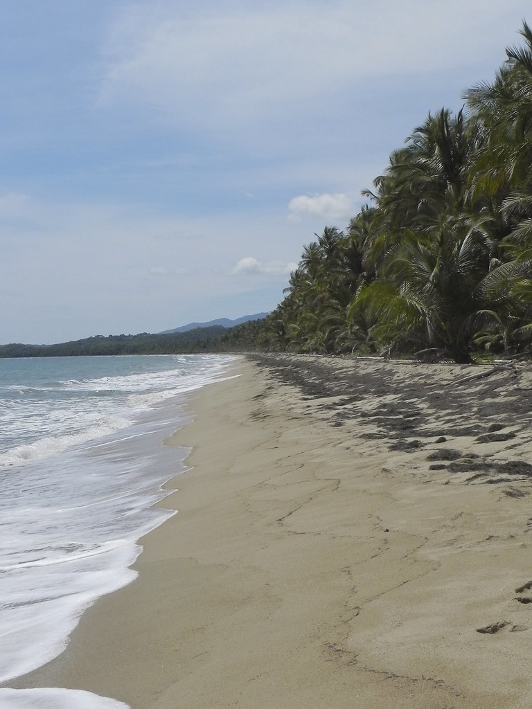 Humacao Nature Reserve, Humacao, Puerto Rico Matthew D. Britt Flickr