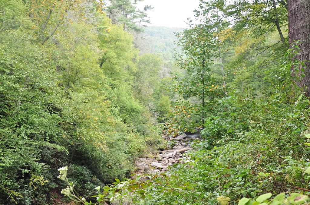 Van Hook Glade Camping, Fall 2011 Camping at Van Hook Glad… Flickr