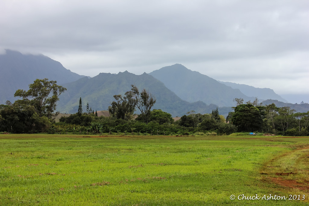 Wai_Koa_Plantation_201314 Chuck 55 Flickr