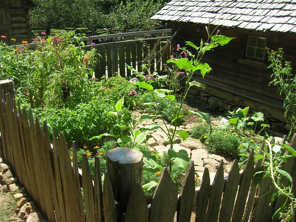 Dye Garden Life on the farm Gardens Crops Staff photo Land