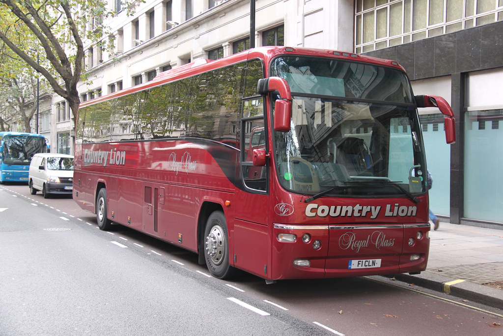 99804 Country Lion, Northampton (NO) F1CLN Kingsway Ken Lansdowne