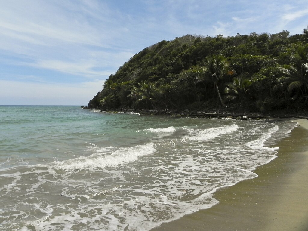 Humacao Nature Reserve, Humacao, Puerto Rico Matthew D. Britt Flickr