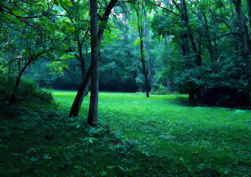 Elevation of Whittington Lane, Whittington Ln, Cincinnati, OH, USA