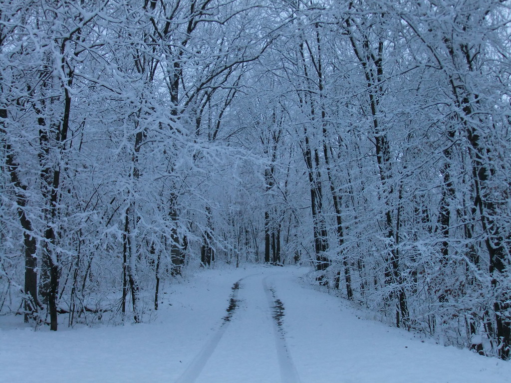 DSCF4109 Devil's Lake State Park The Cut Flickr