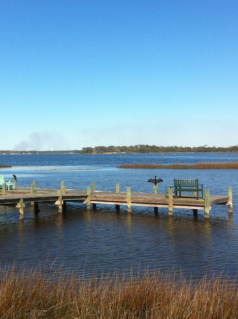 A Double Crested Cormorant at White Oak River, Swansboro, … Flickr