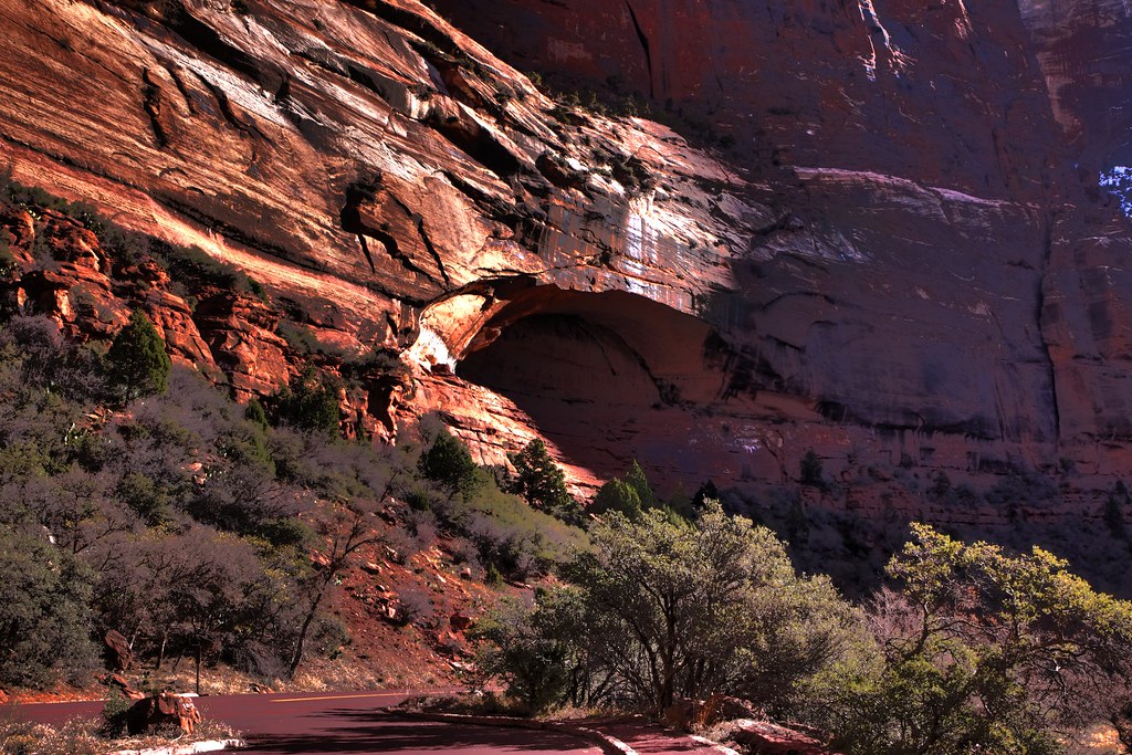 (2012L23) Zion National Park, Springdale, UT goldenpower1 Flickr