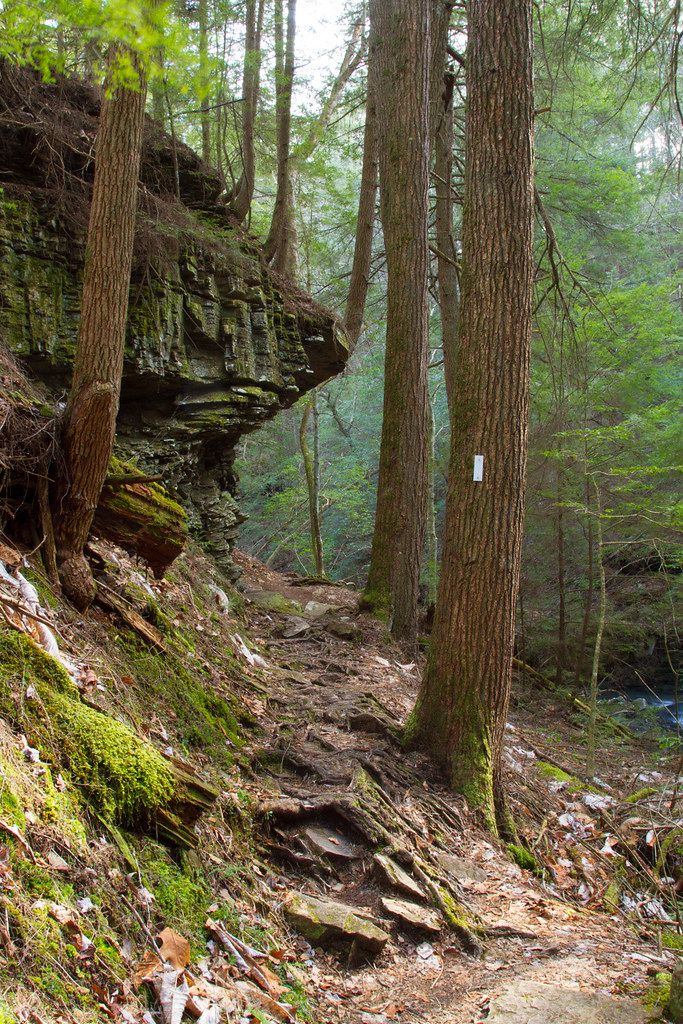 Fiery Gizzard Trail in Grundy Forest State Natural Area Flickr