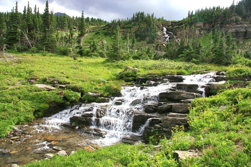Meadow Stream TrourTracker Flickr