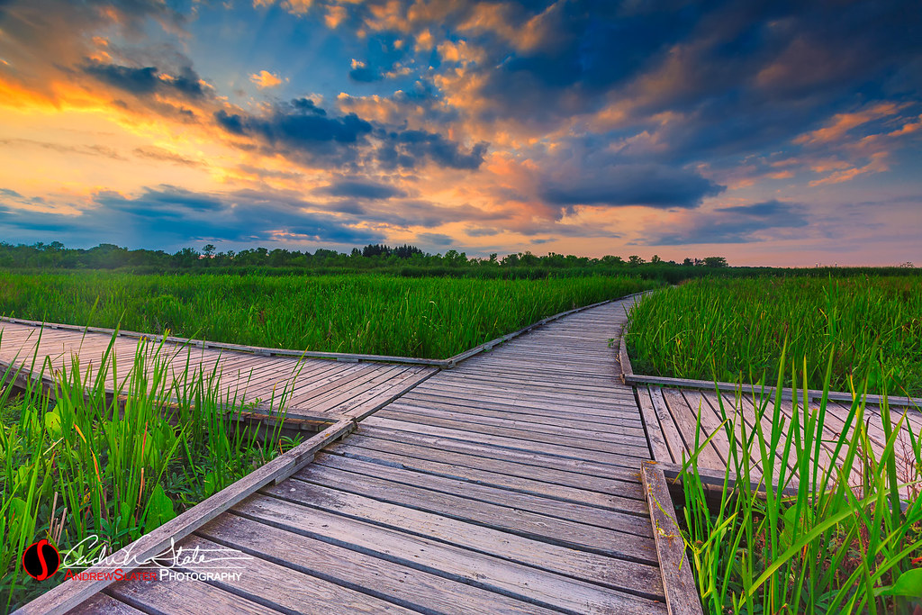 Elevation of Jay Rd, Cedar Grove, WI, USA Topographic Map Altitude Map