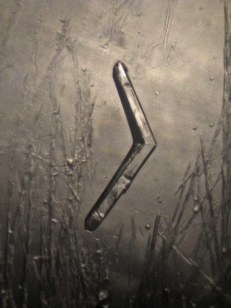 Crystal Boomerang... Twinned crystals of aspirin... Grover Schrayer