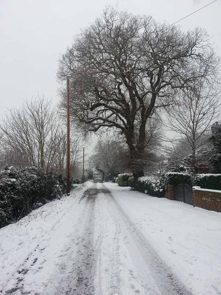 Snowy lane and tree Kieren Pitts Flickr