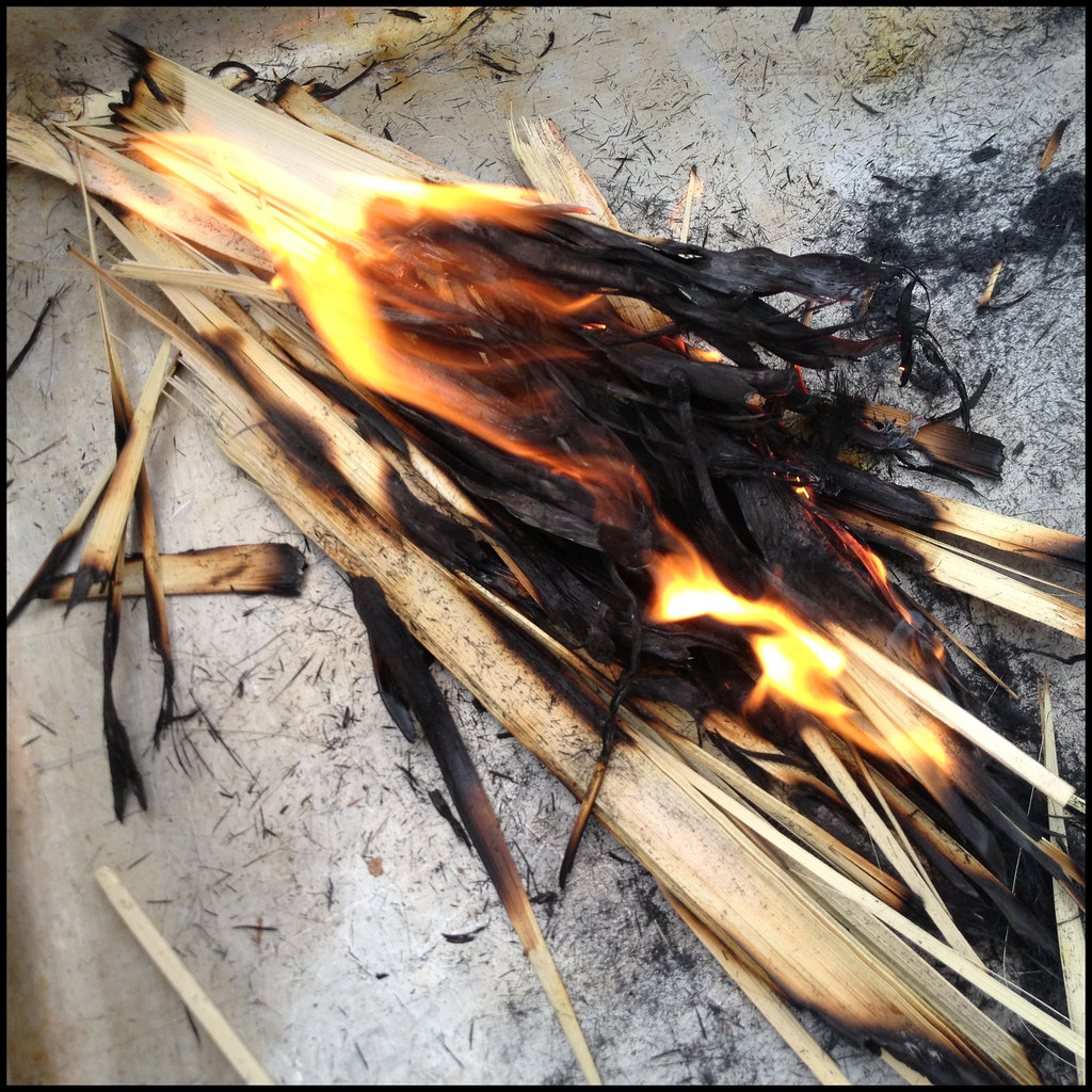 Ashes from Palms Traditionally, the ashes used on Ash Wedn… Flickr