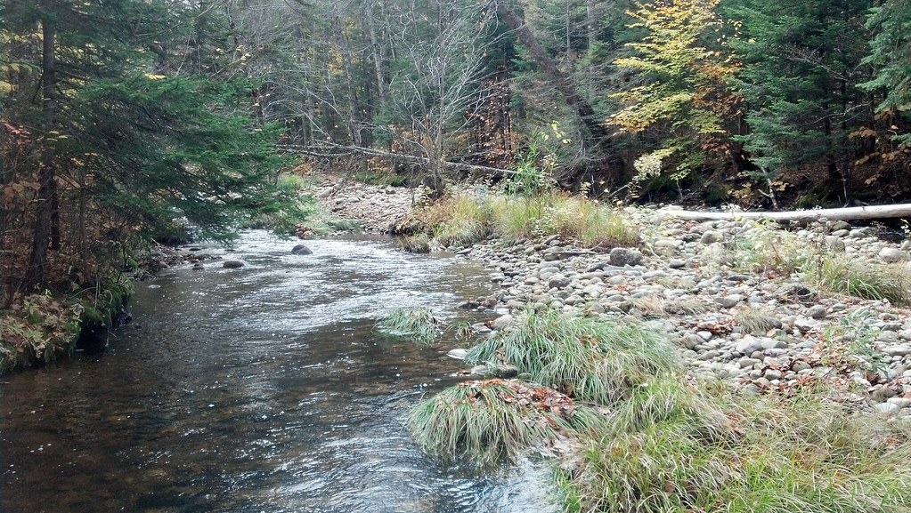 05 Brook Crossing Michael Record Flickr