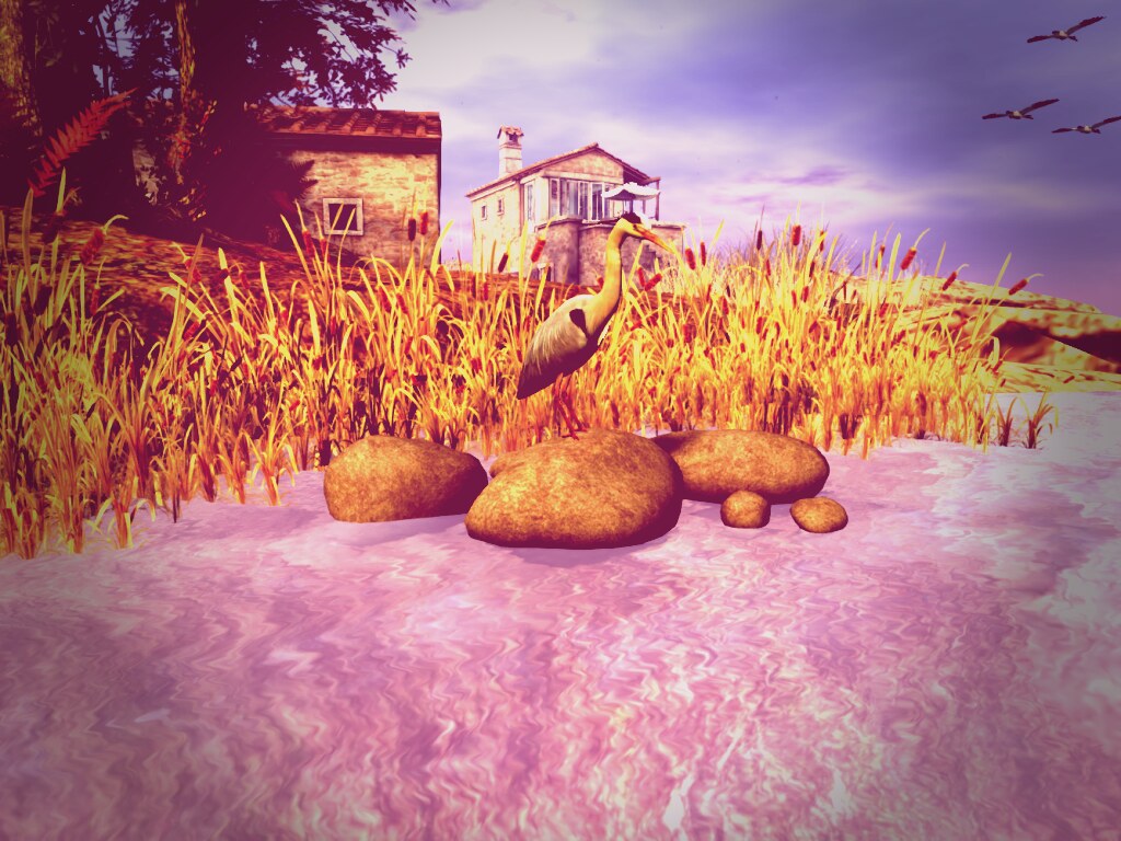 Crystal Gardens Morning Fishing Visit this location at C… Flickr