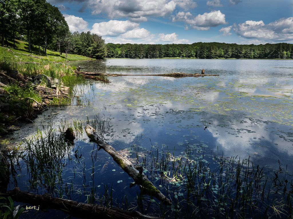 Hemlock Lake... and from nowhere accessible on its trai… Flickr