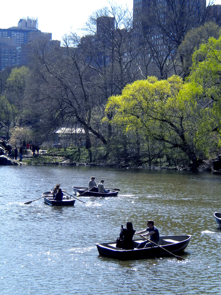 Canoeing in Central Park . AmandaFendrick Flickr