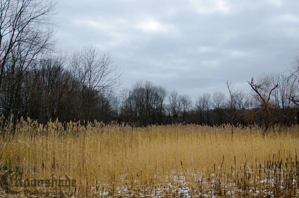 Budd Lake Lake Rogerene Winter Adventures Chad Mooney Flickr