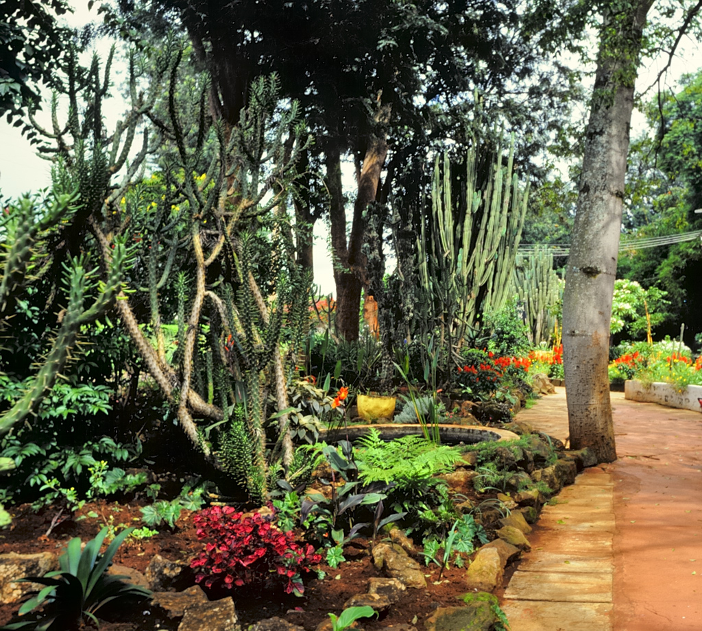 Front garden, Ainsworth Hotel, Nairobi, Kenya. Nikkormat F… Flickr