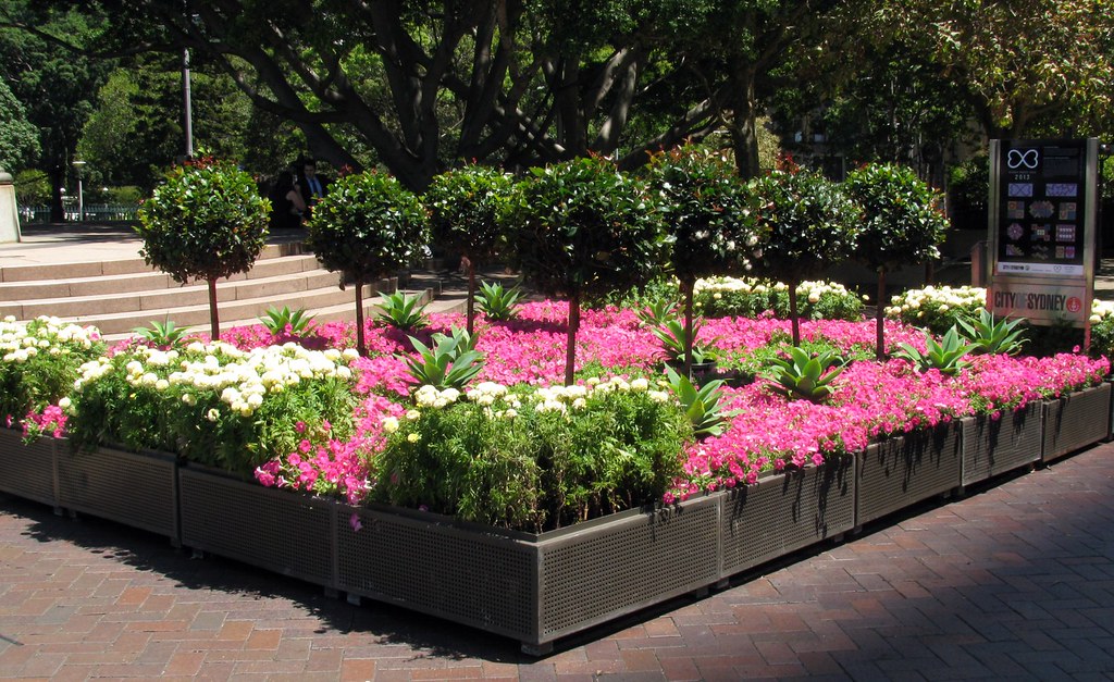 Flowers, Queens Square, Sydney, NSW. Macquarie St, Sydney,… Flickr