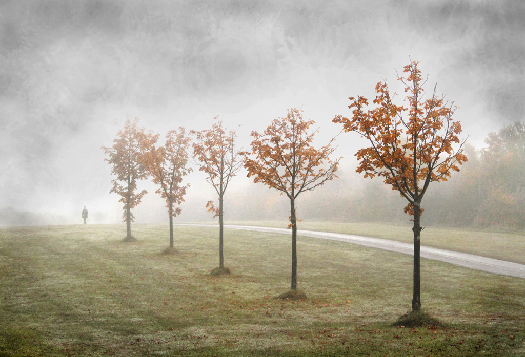 91 autumn walk herrington edgar Bev Flickr