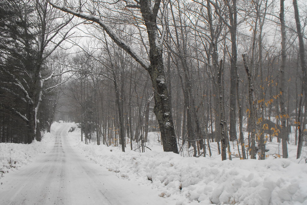 snowfall_mar7_0020 Snow Fall in New Hampshire March 7 Sam Baker Salmon Flickr